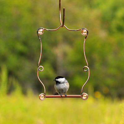 Perky Pet Beaded Hummingbird Swing
