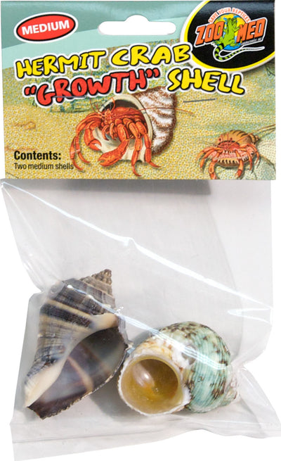 Hermit Crab Growth Shell