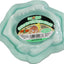 Hermit Crab Bright Bowls