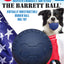 Spot Barrett Ball