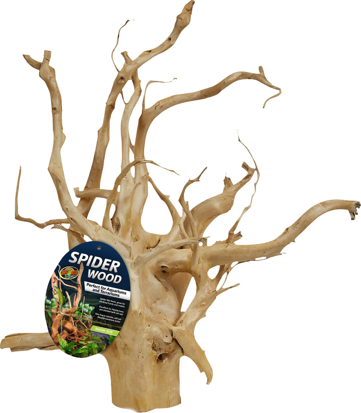 Spider Wood