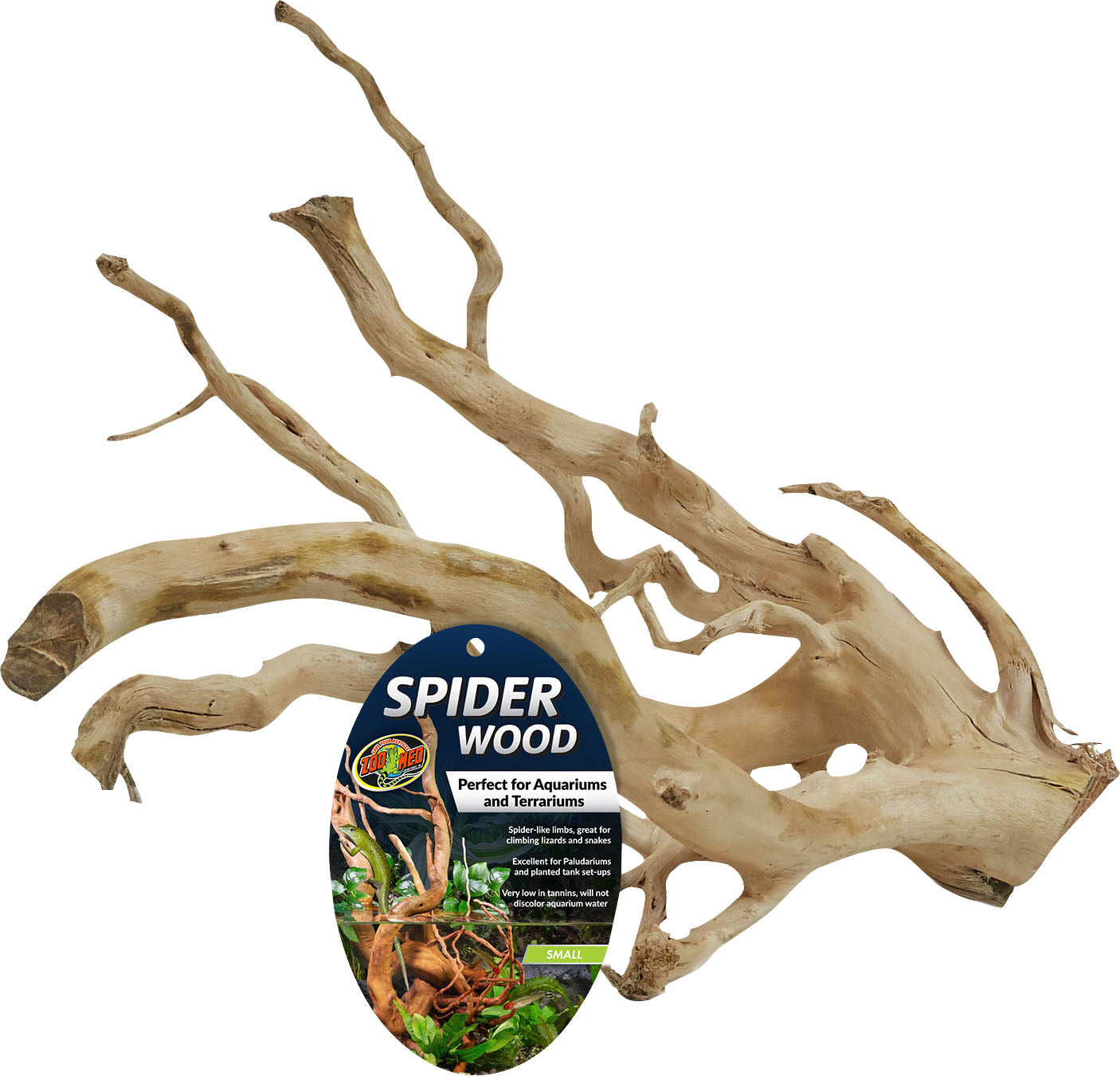Spider Wood