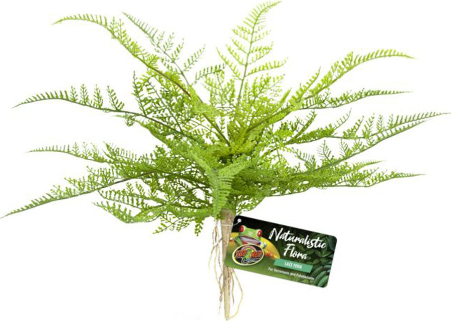Naturalistic Flora Lace Fern