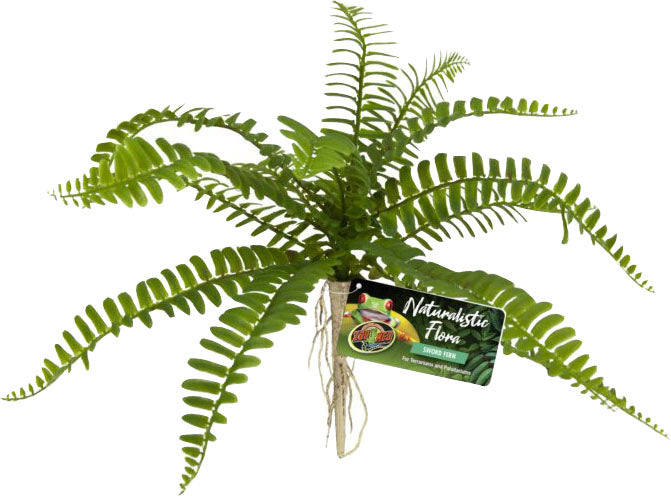 Naturalistic Flora Sword Fern