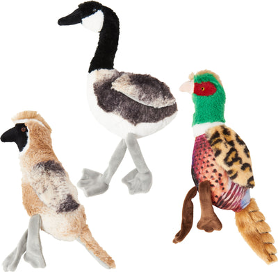 Spot Bird Calls