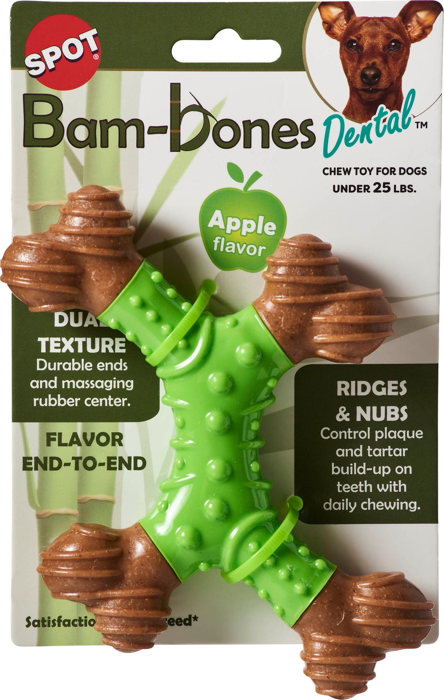Spot Bambone Dental X-Bone