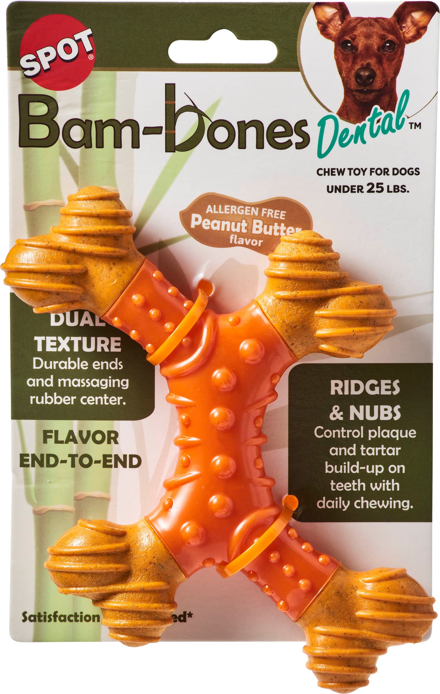 Spot Bambone Dental X-Bone