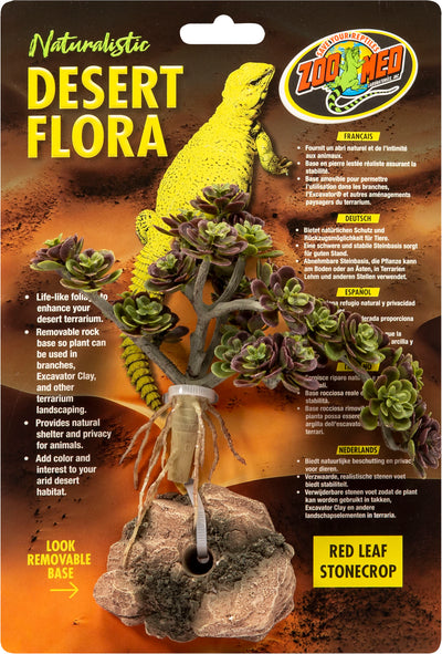 Naturalistic Desert Flora Plant
