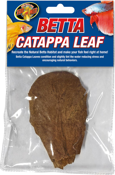 Betta Catappa Leaf