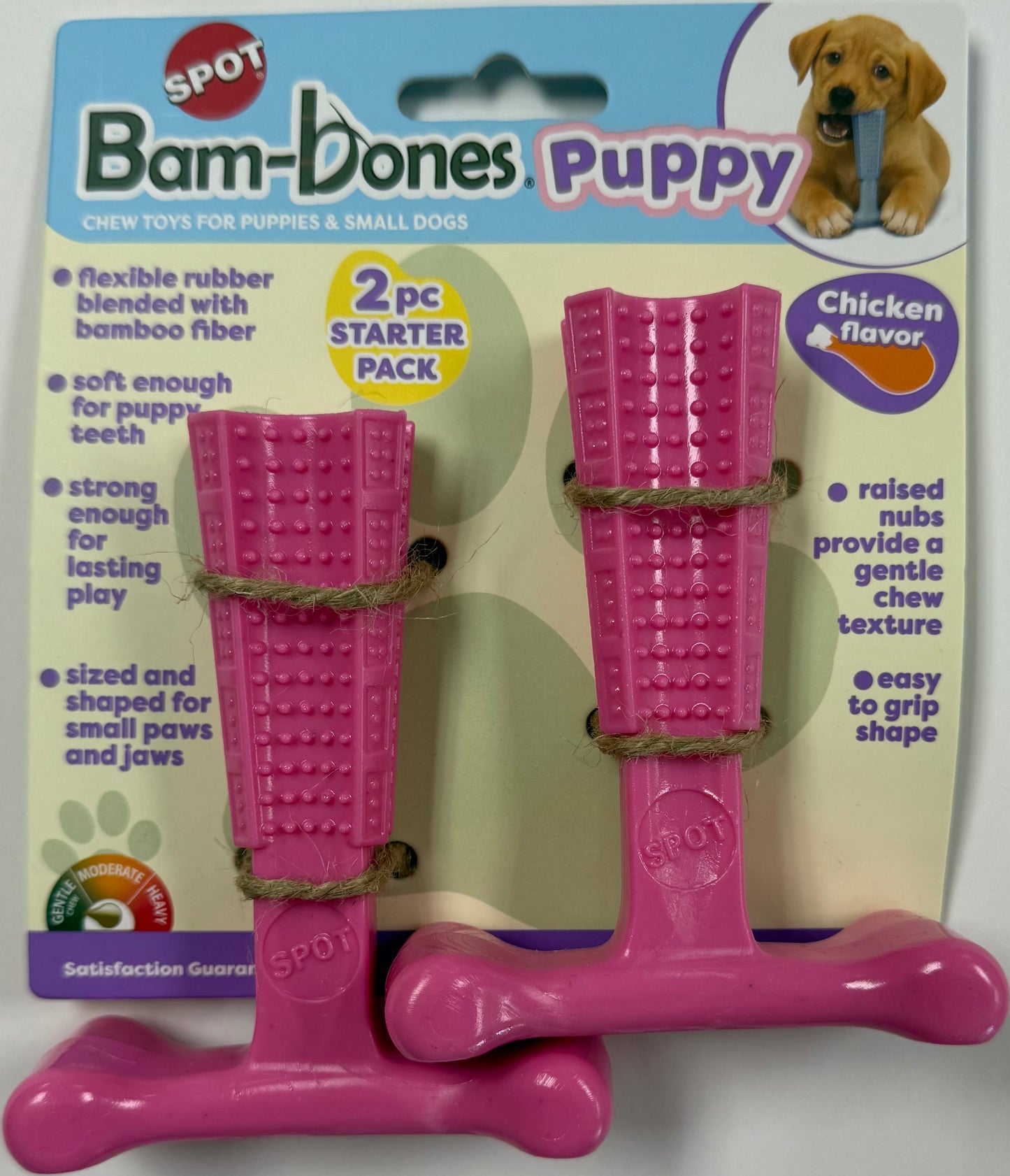 Spot Bambone Puppy