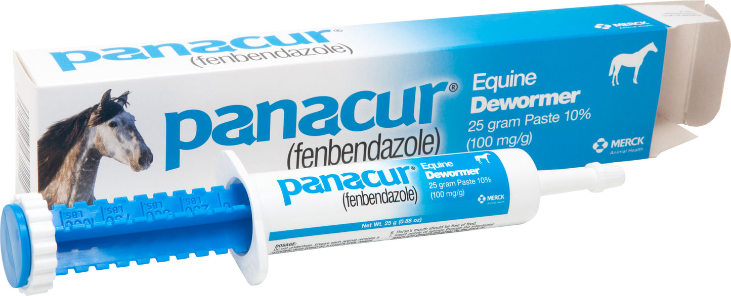 Panacur Paste Equine Dewormer