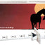 Zimecterin Equine Dewormer