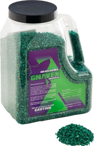 A clear plastic jug with a black lid filled with green rodenticide bait pellets, labeled Gnavex, showing front view of packaged product.