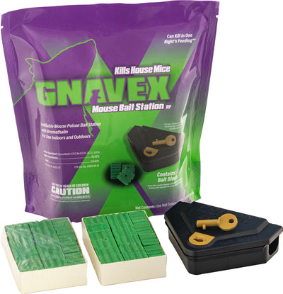 Packaged Gnavex Refillable Mouse Bait Station with purple and green packaging, showing three green bait blocks and a black station with a key.