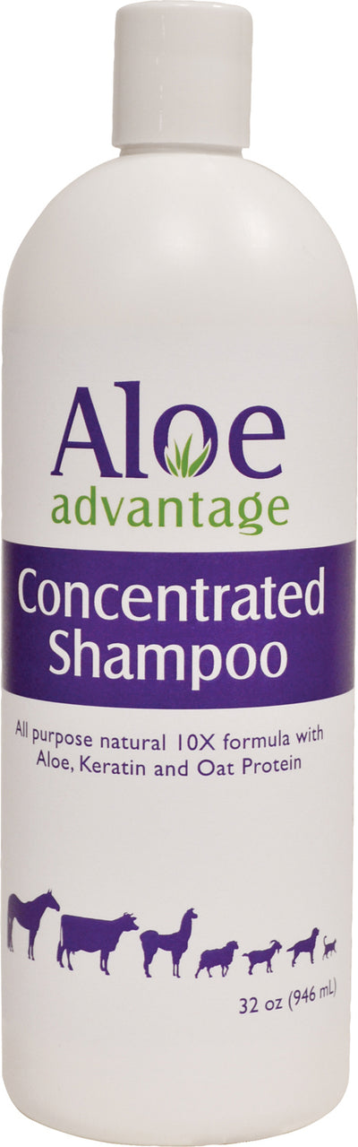 Aloe Advantage Concentrate Shampoo 10X