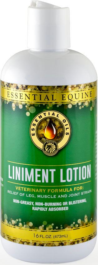 Front view of a white bottle with green label reading Essential Equine Liniment Lotion, 16 fl oz.