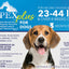 Apex Plus For Dogs