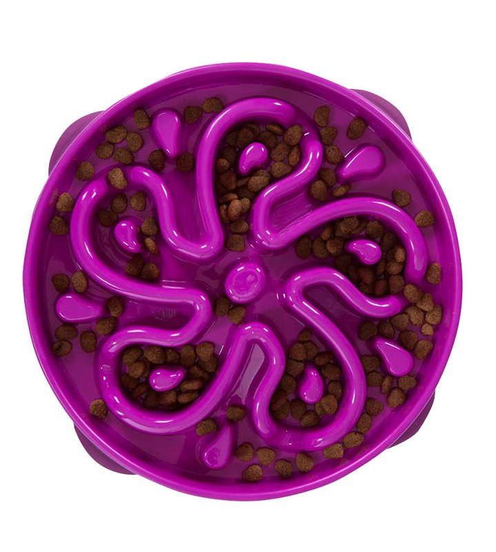 OH D Fun Feeder (Purple)
