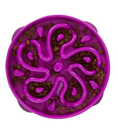 OH D Fun Feeder (Purple)