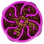 OH D Fun Feeder (Purple)
