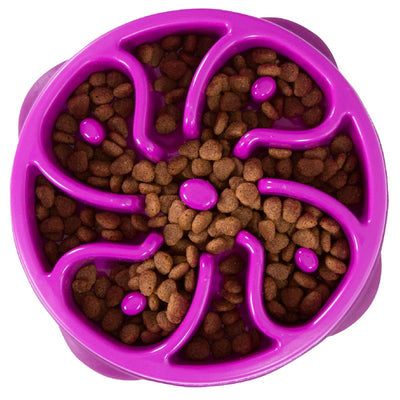 OH D Fun Feeder (Purple)