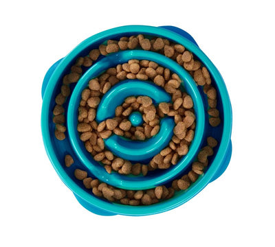OH D Fun Feeder (Teal)