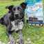 Tuckers All Natural Grain Free Raw Frozen Pork Bison Pet Dog Food, 96 Ounce