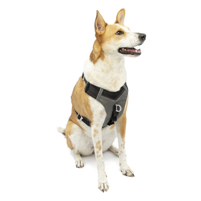 Kurgo Journey Air Dog Harness, Vest Harnesses for Dogs, Pet Hiking Harness for Running & Walking, Reflective, Padded, Includes Control Handle, No Pull Front Clip (Black, Large)