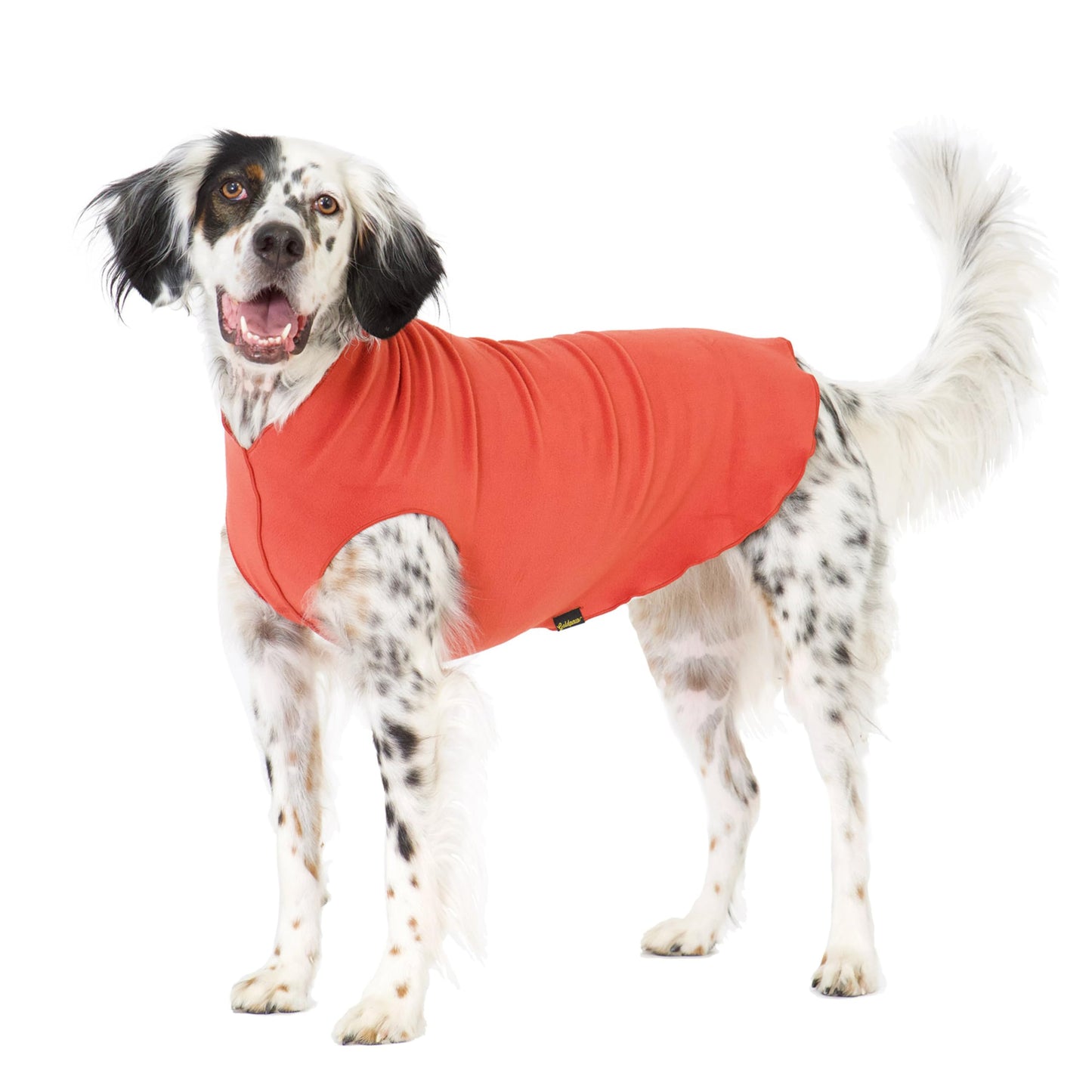 Gold Paw Stretch Fleece Dog Coat, Stretchy Pet Sweater, Machine Washable Pullover for Winter and Fall, Paprika, 20