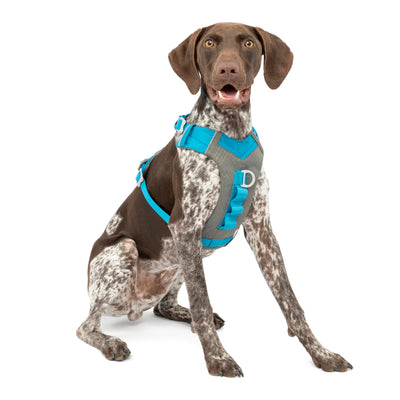 Kurgo Journey Air Dog Harness, Vest Harnesses for Dogs, Pet Hiking Harness for Running & Walking, Reflective, Padded, Includes Control Handle, No Pull Front Clip (Blue, Medium)