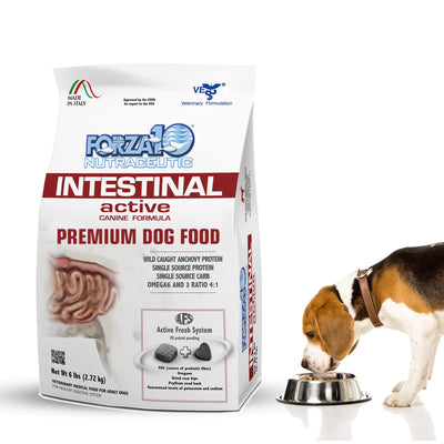 Forza10 Active Dry Intestinal Dog Food, Gastrointestinal Dog Food, Digestive and Intestinal Diet Dry Dog Food for Adult and All Breeds (6 Pounds)