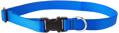 LupinePet Basics 1" Blue 16-28" Adjustable Collar for Large Dogs