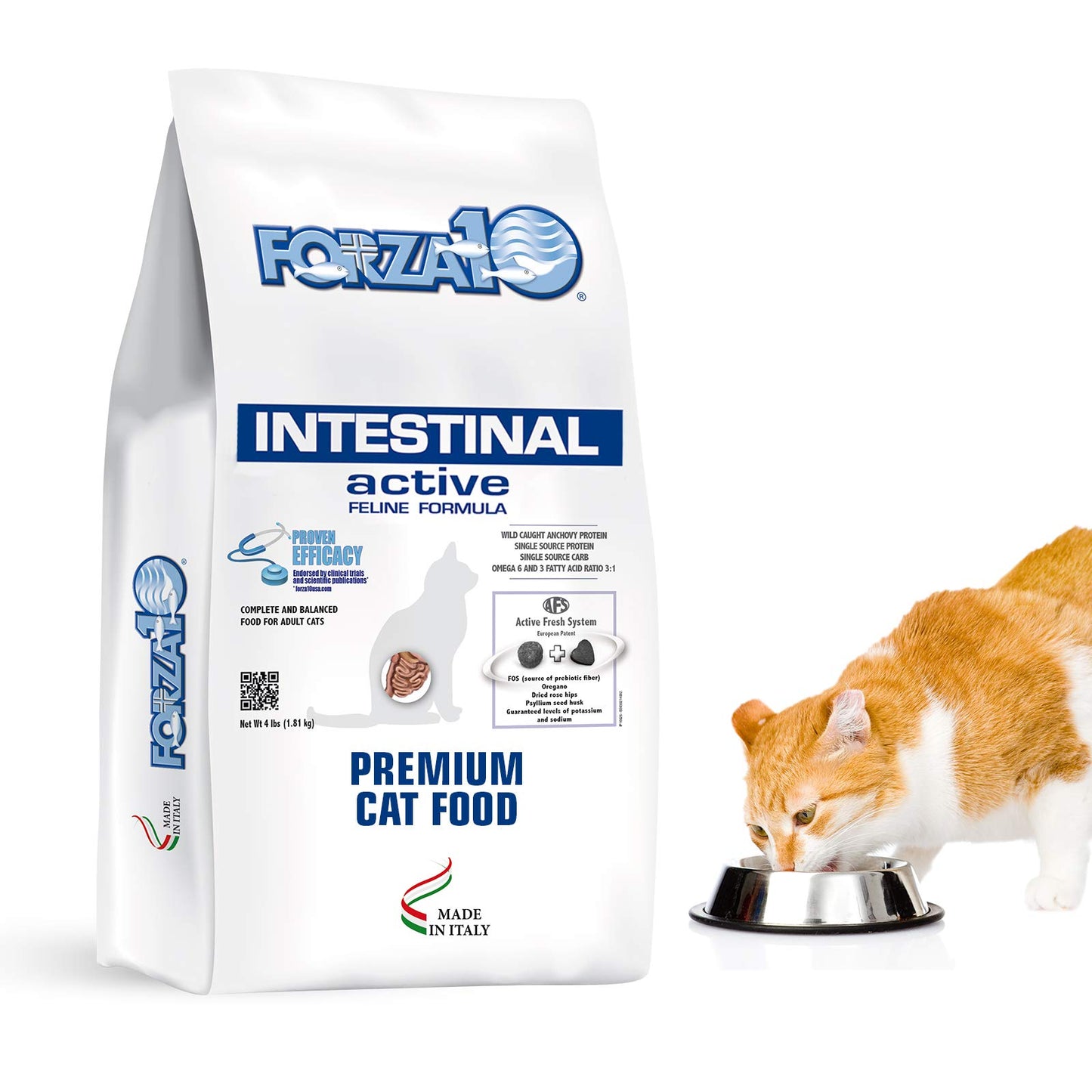 Forza10 Active Intestinal Support Diet Dry Cat Food for Adult Cats, Cat Food Dry for Upset Stomach, Diarrhea and Intestinal Disorders, Wild Caught Anchovy Flavor, 4 Pound Bag