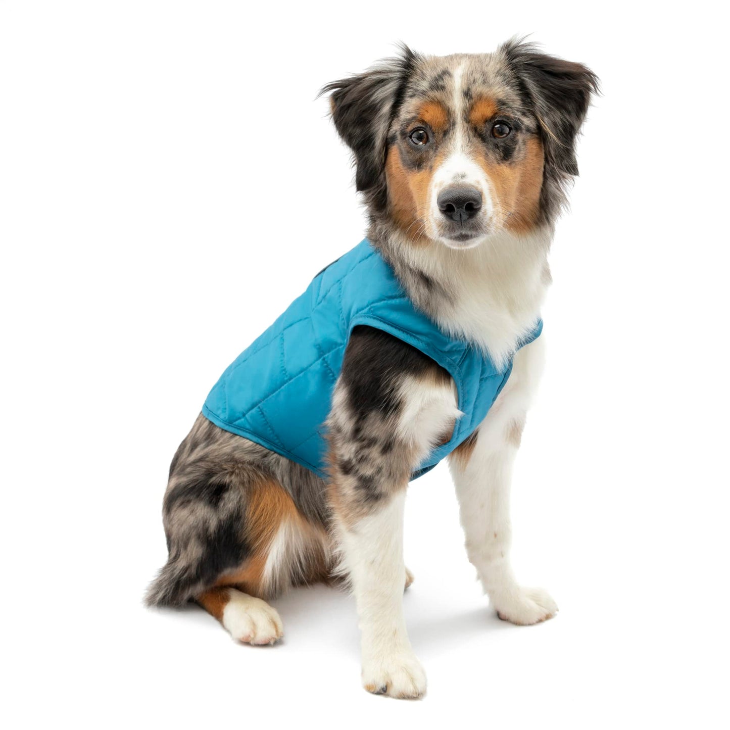 Kurgo Loft Dog Jacket, Reversible Dog Coat, Wear with Harness or Sweater, Water Resistant, Reflective, Winter Coat for Small Dogs (Coastal Blue, XS)