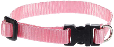 LupinePet Basics 1/2" Pink Adjustable Dog Collar 8-12" for Small Dogs