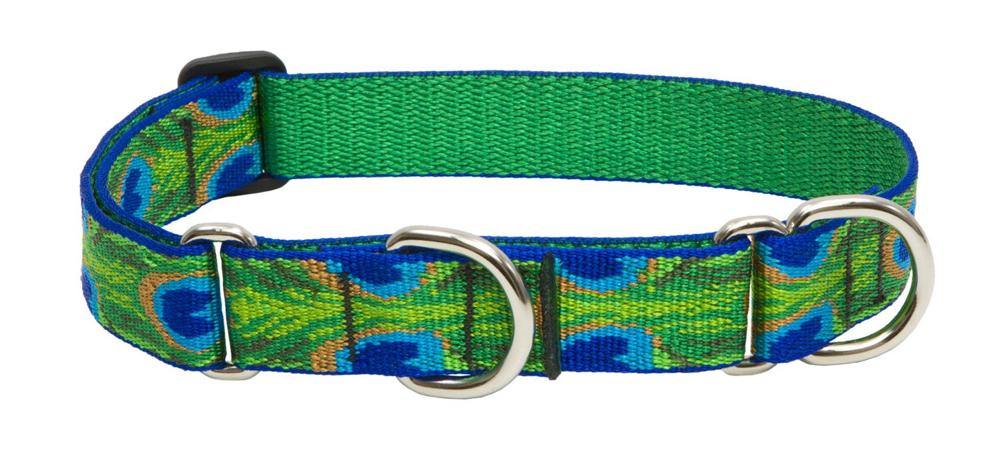 LupinePet Originals 1" Tail Feathers 15-22" Martingale Collar for Medium and Larger Dogs