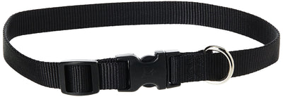 LupinePet Basics 3/4" Black 13-22" Adjustable Collar for Medium and Larger Dogs