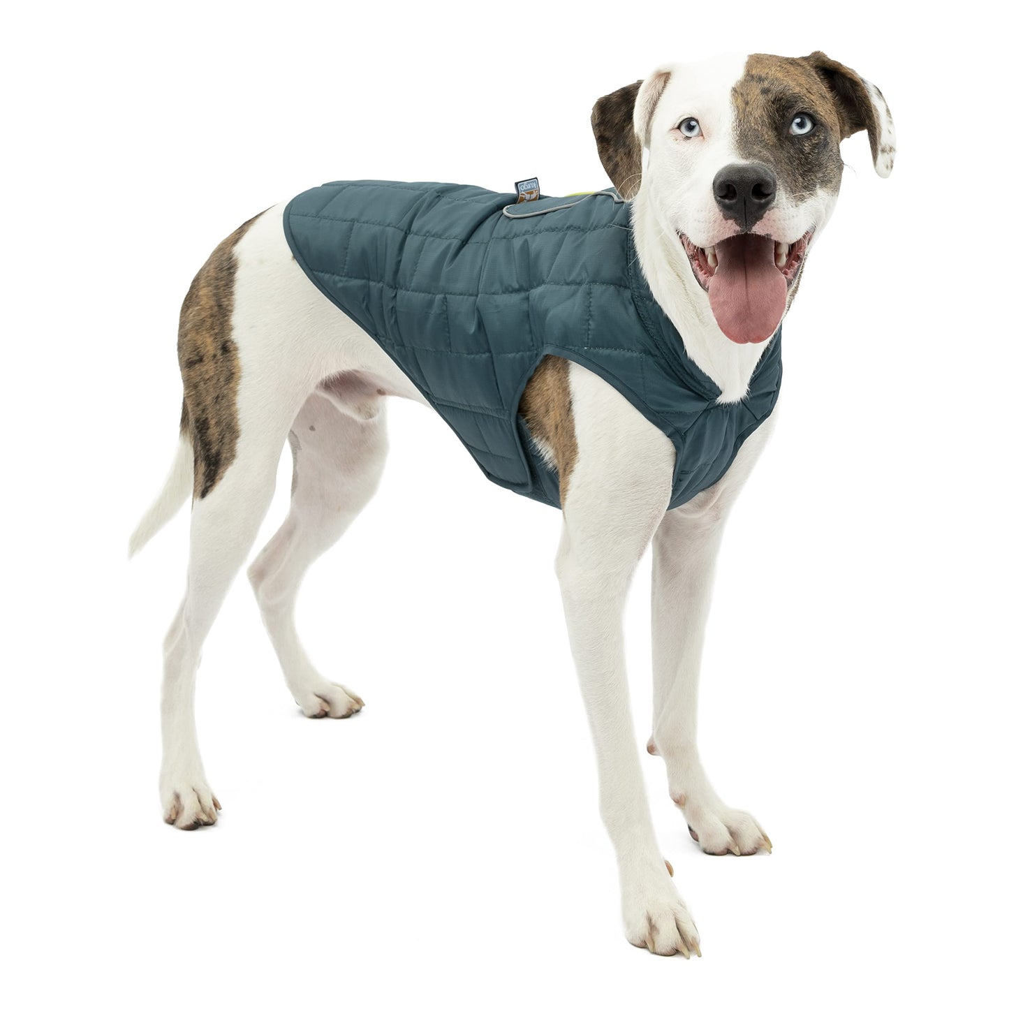 Kurgo Loft Dog Jacket, Reversible Dog Coat, Wear with Harness or Sweater, Water Resistant, Reflective, Winter Coat for Small Dogs (Ink Blue, S)