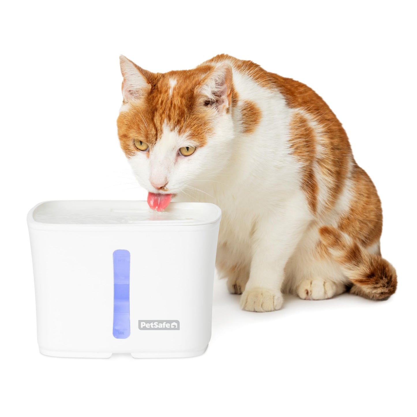 PetSafe Viva Pet Water Fountain for Cats and Small Dogs - 1.8L/64 oz, Indoor Cat Water Fountain with Whisper Quiet Pump, Dishwasher Safe, Easy to Clean, Water Filters Included