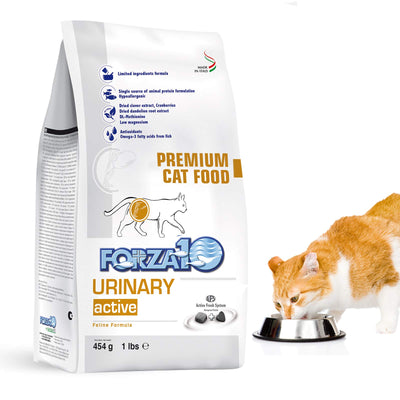 Forza10 Active Dry Cat Food Urinary Tract Health, Fish Flavor Urinary Tract Cat Food, Adult Cats Urinary Cat Food, 1 Pound Bag Urinary Tract Cat Food Dry