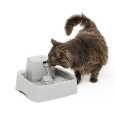 PetSafe Drinkwell 1/2 Gallon (64 Ounce) Small Pet Fountain - Small Dog and Cat Water Fountain - Dishwasher Safe Filtered Water Dispenser with Flow Control - Easy to Clean - Filters Included