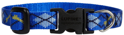 LupinePet Originals 1/2" Dapper Dog 8-12" Adjustable Collar for Small Dogs