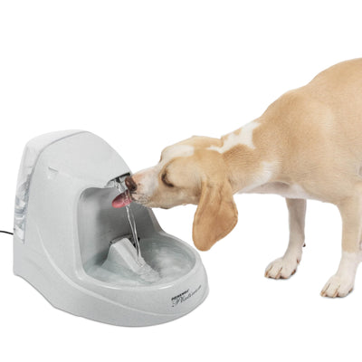 PetSafe Drinkwell Platinum Cat Water Fountain (168 oz/5L) Pet Water Fountain for All Pet Sizes, Indoor Use, Encourages More Drinking, Includes Replaceable Carbon Filter, Grey