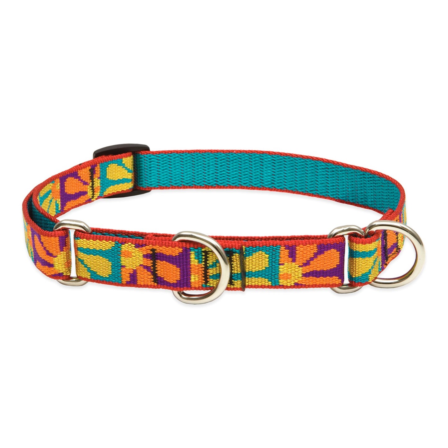 LupinePet Originals 3/4" Crazy Daisy 10-14" Martingale Collar for Small Dogs