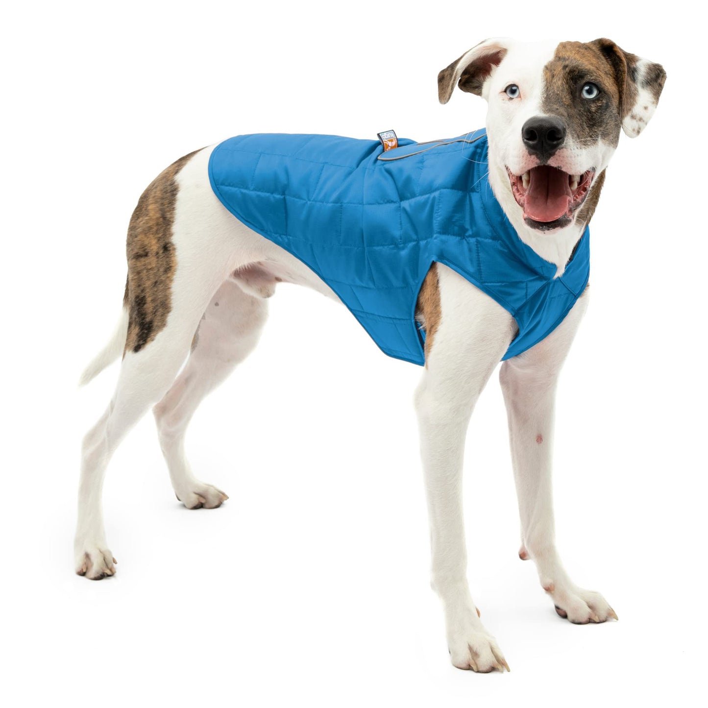 Kurgo Loft Dog Jacket, Reversible Dog Coat, Wear with Harness or Sweater, Water Resistant, Reflective, Winter Coat for Medium Dogs (Coastal Blue, M)