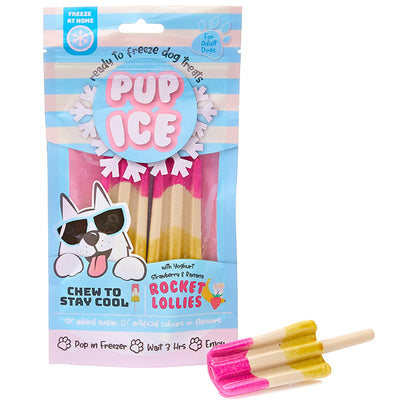 SPOT Pup Ice- Ready to Freeze at Home Dog Treats-Edible Chews for Medium Breed Dogs & Puppies with Real Chicken to Keep Your Pup Cool Year Round, Rocket Lollies Strawberry and Banana Flavor, 2pcs