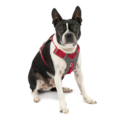 Kurgo Journey Air Dog Harness, Vest Harnesses for Dogs, Pet Hiking Harness for Running & Walking, Reflective, Padded, Includes Control Handle, No Pull Front Clip (Red, Small)