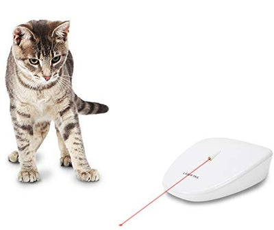 PetSafe Laser Tail Cat Toy - Fun and Safe Laser Light Game for Cats - Hands Free Play