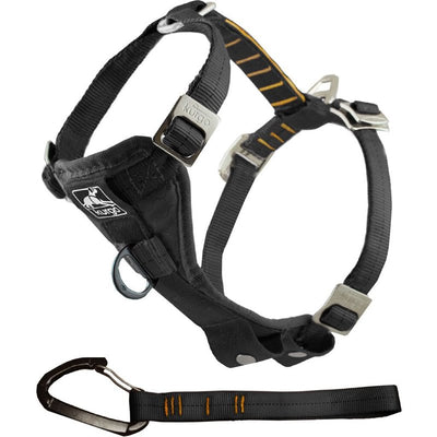 Kurgo Tru-Fit Enhanced Strength Dog Harness - Crash Tested Car Safety Harness for Dogs, No Pull Dog Harness, Includes Pet Safety Seat Belt (Black, Medium)