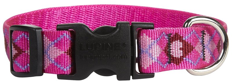 LupinePet 3/4-Inch Puppy Love 13-22-Inch Adjustable Dog Collar for Medium to Large Dogs